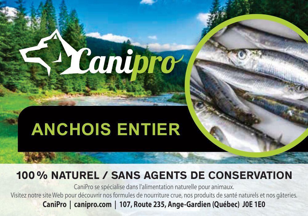 Anchois entier