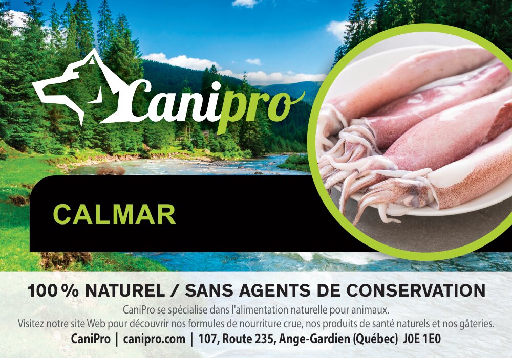 Calmar