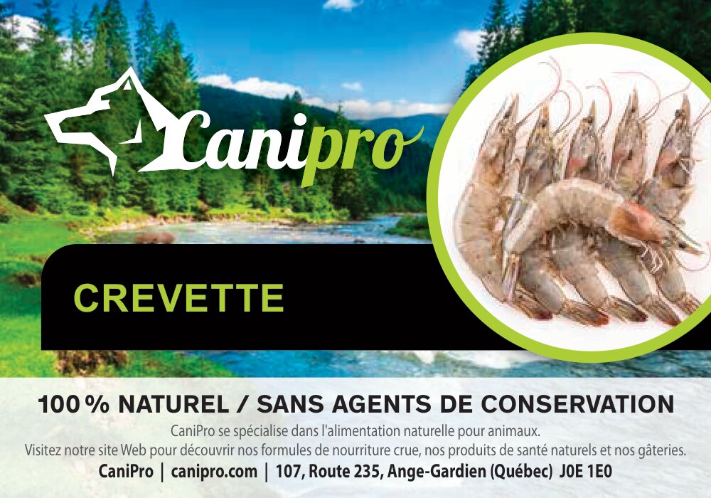 Grosse crevettes