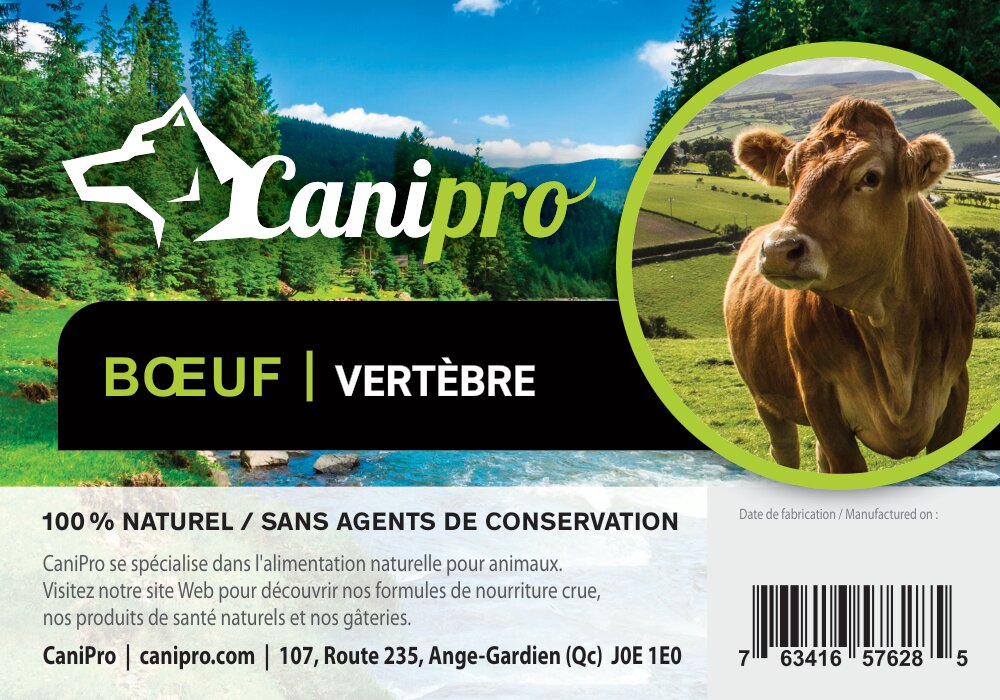 Vertèbre de boeuf