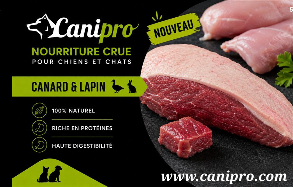Recette crue pour chiens au canard et lapin