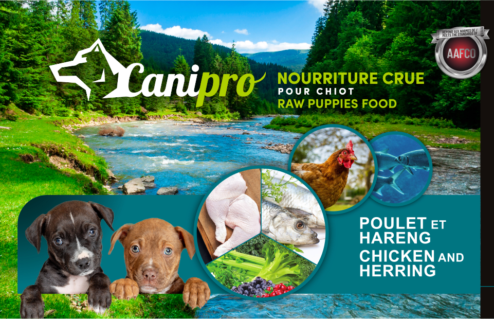 Recette Chiots Poulet et Hareng