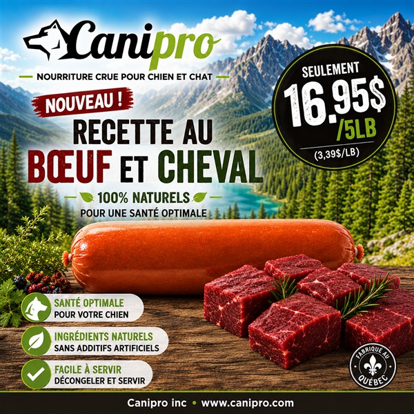 Nouvelle recette boeuf et cheval