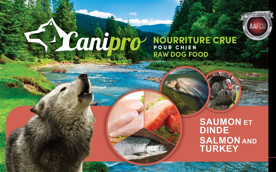 Saumon et dinde Recette crue pour chien au Saumon et dinde