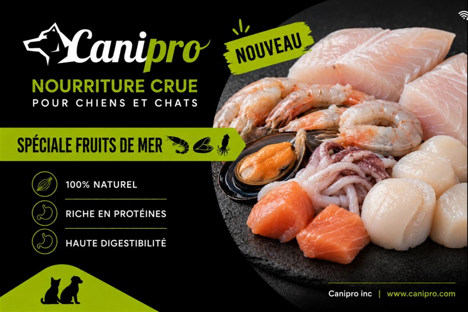 Spéciale fruits de mer Recette viande crue pour chiens Spéciale fruits de mer